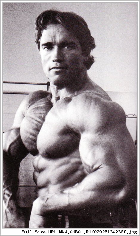 Arnold Schwarzenegger Armstrong