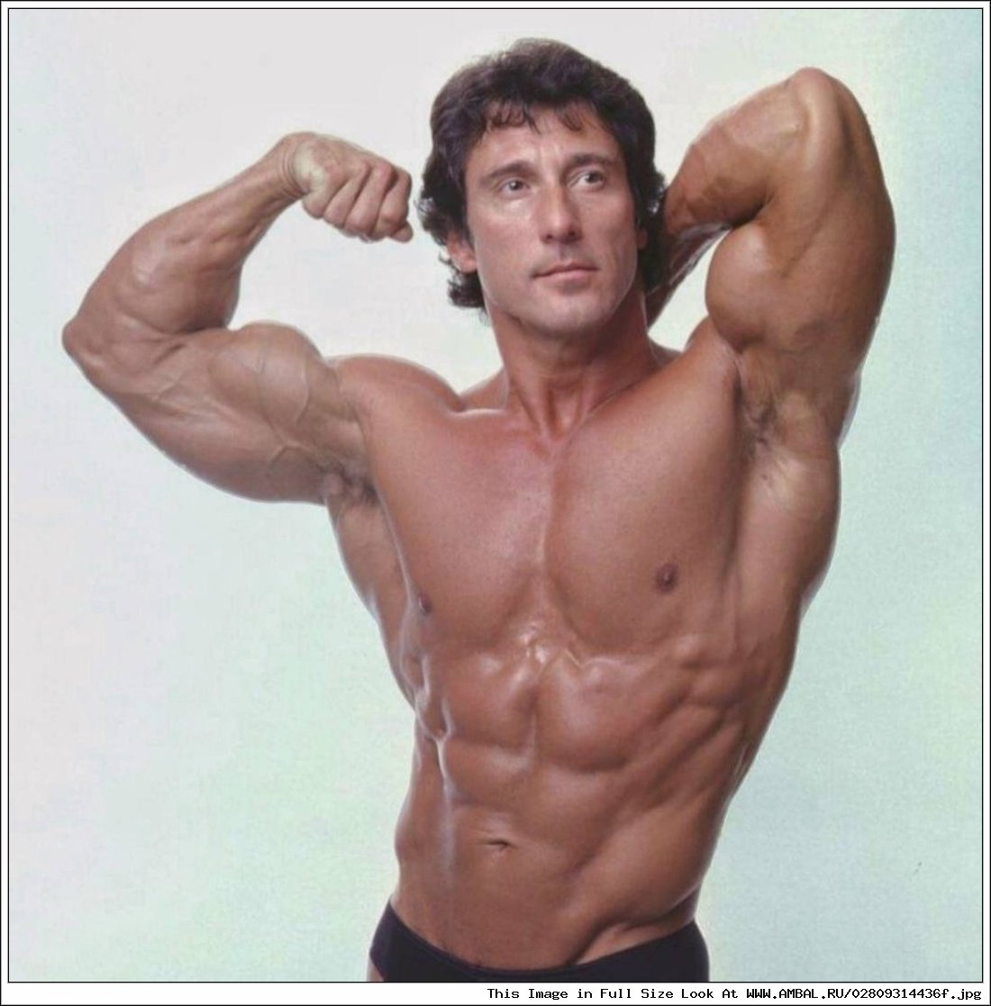 Фрэнк Зейн (Frank Zane), фотографии, биография, соревнования, бодибилдинг