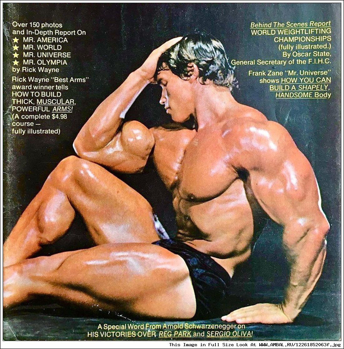 Muscles and Sex Appeal: The Wildest Gallery of Arnold Schwarzenegger!