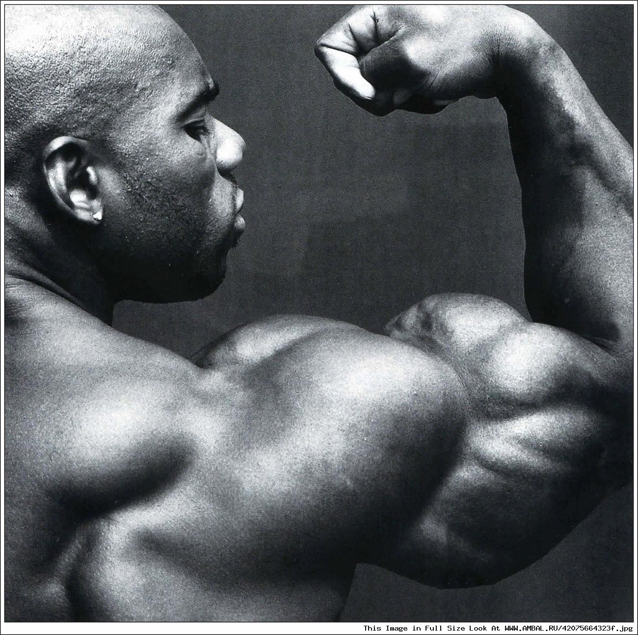 Flex Wheeler спина