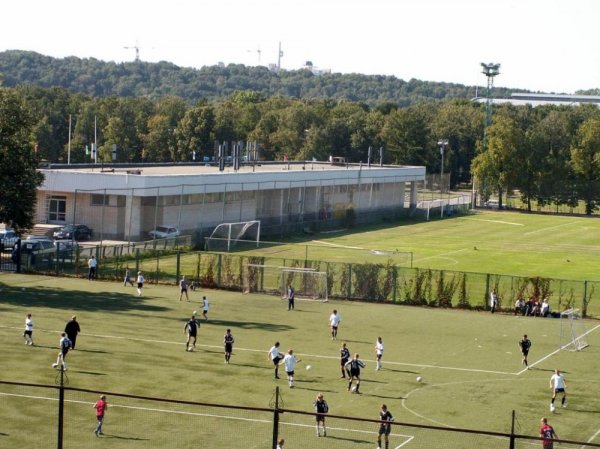 Поле номер 1. Спортгородок Лужники. Спортивный городок Лужники стадион. Лужники футбольное поле 4. Северный спортивный центр Лужники.