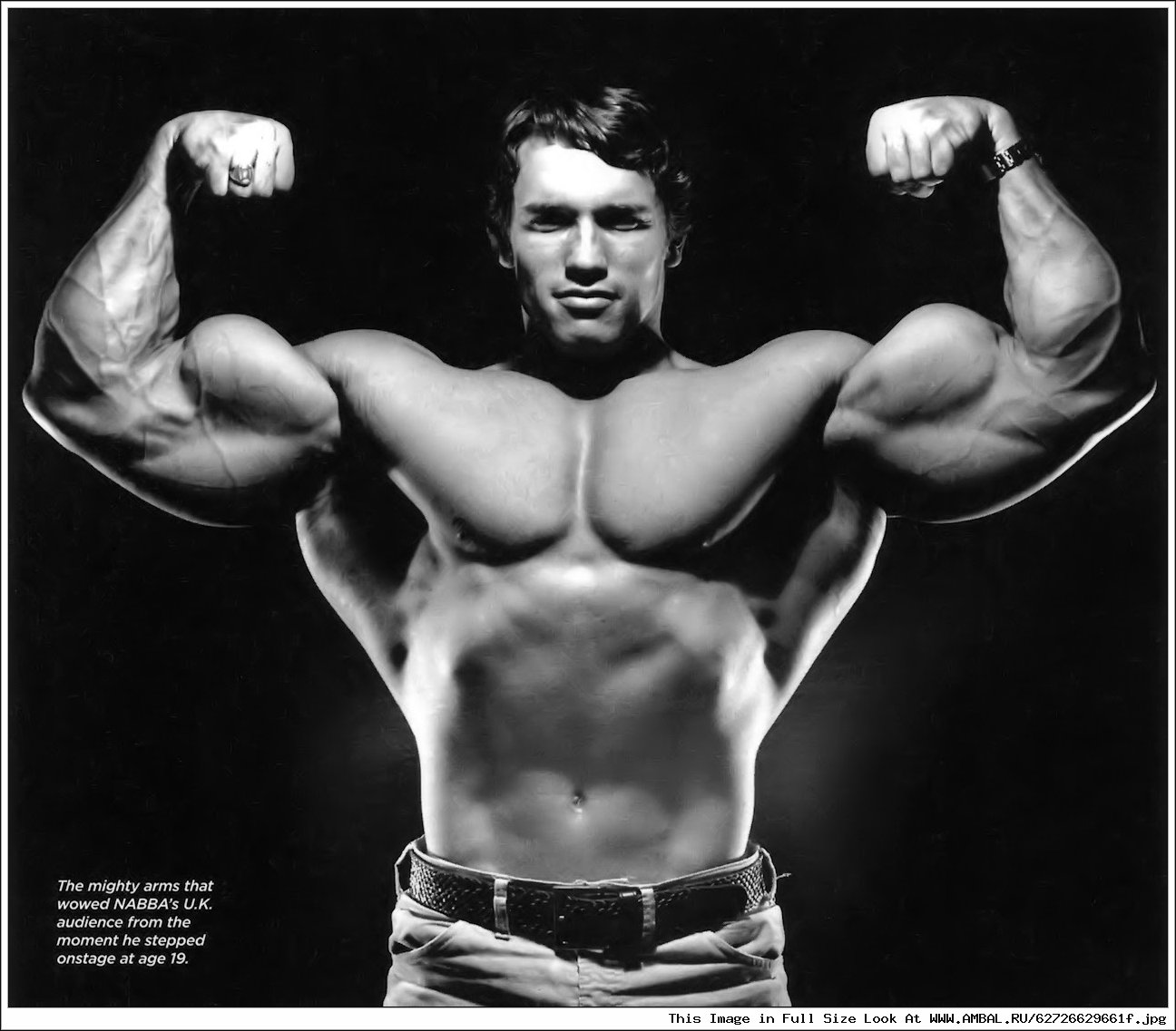 Arnold schwarzenegger bodybuilding