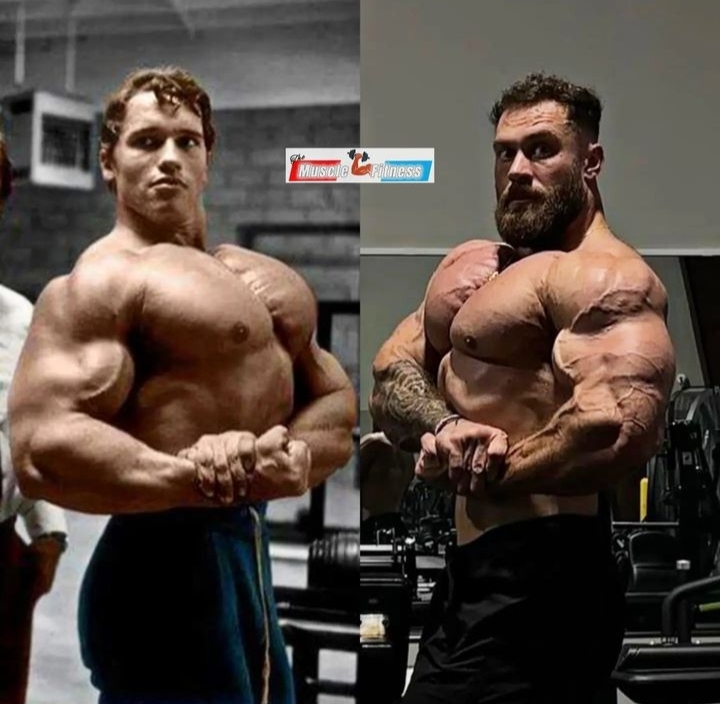 Chris Bumstead шпагат