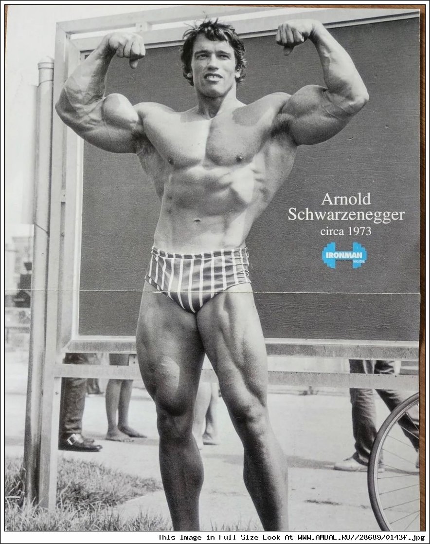 Настоящий рост шварценеггера. Рост Арнольда Шварценеггера. Arnold Schwarzenegger в молодости. Шварценеггер рост вес.