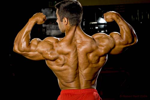 Eduardo Correa muscle