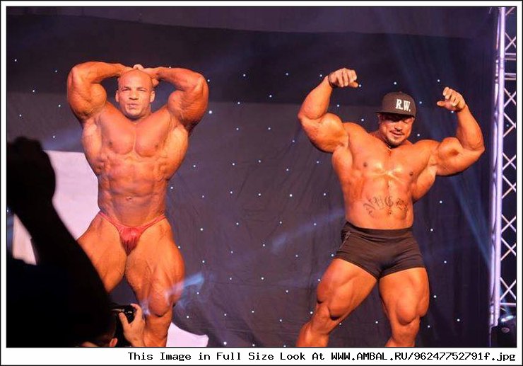 Roelly Winklaar РљСѓРІРµР№С‚